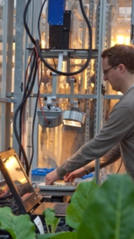 Project Manager Dr. Andreas Backhaus of the Fraunhofer-IFF places leaves from sugar beet plants on test bowls with a weakly reflective underlay. The test objects are shifted relative to the camera on a translation stage and scanned line by line.