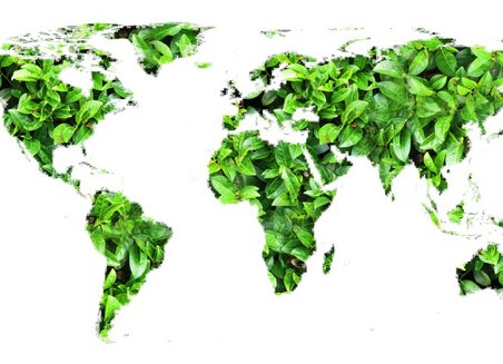 Ansicht einer Weltkarte. Die Kontinente werden aus grünen Pflanzenblättern gebildet, die Meere als weiße Flächen dargestellt.